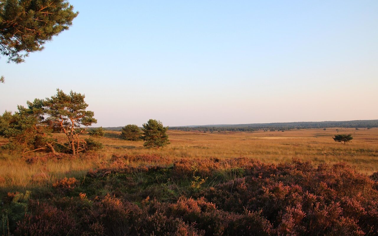 e-cruiser huren Veluwe