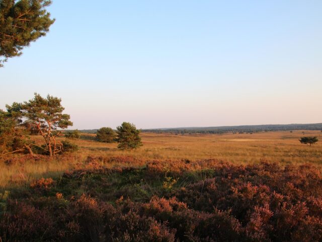 e-cruiser huren Veluwe